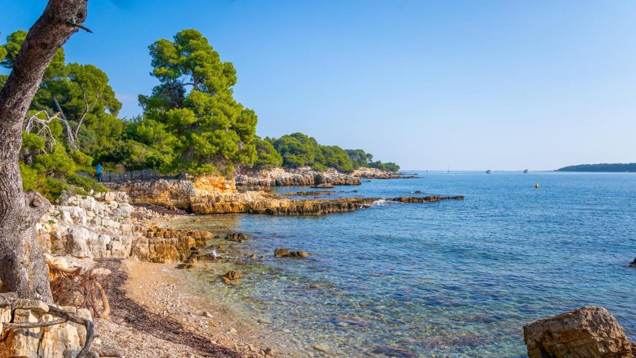 Rez-De-Villa Mougins Bagian luar foto